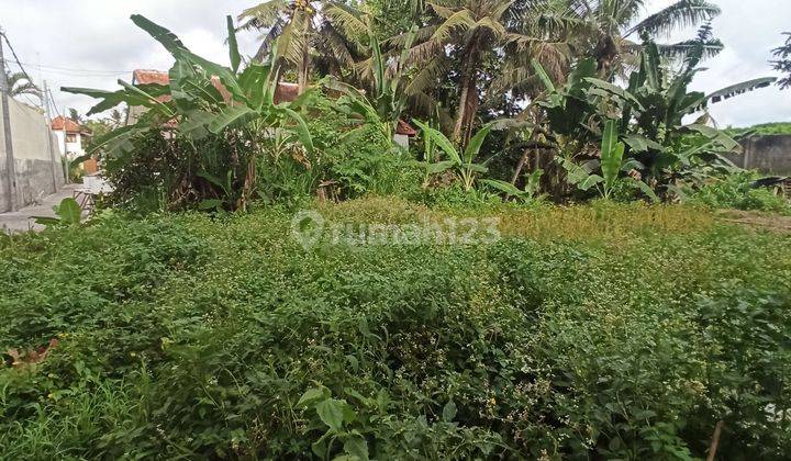 LAND WITH RIVER VIEW, RICE FIELD, COOL VILLA ENVIRONMENT 1