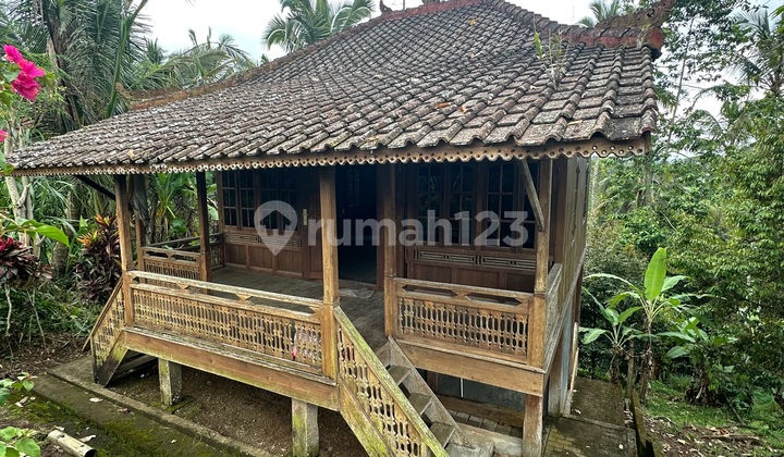 Land and Garden House in Penebel near Jatiluwih