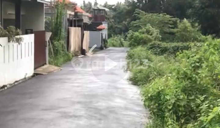 Land For Villa Rental With Beautiful Rice Field View Ready To Build