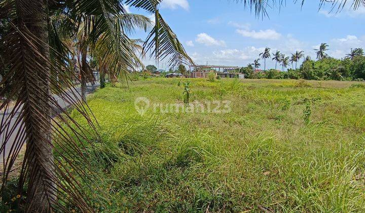 TANAH VIEW SAWAH JALAN BESAR SIAP BANGUN VILLA 2