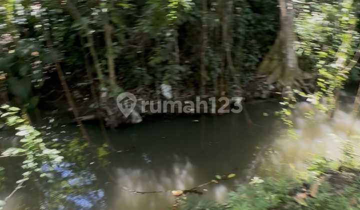 Cheap Price Forest River Lease Land Mas Ubud