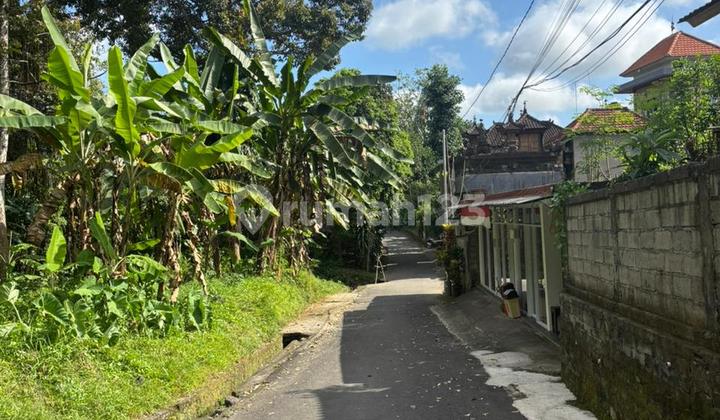 Dijual Tanah di Ubud Kawasan Villa Akses Mobil