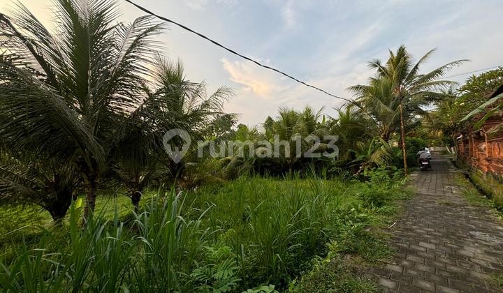 Tanah Zona Kuning Super Murah View Sawah Tanah Zona Kuning Super Murah View Sawah
