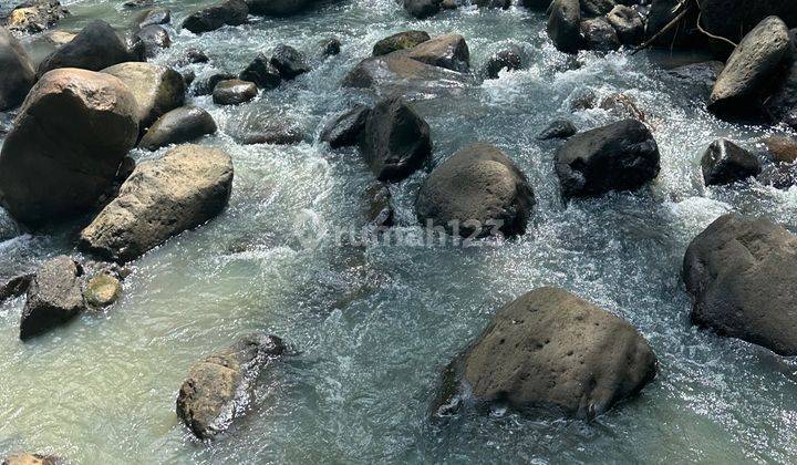 Tanah Los Sungai Hutan Sawah Air Panas Alami Harga Murah  1