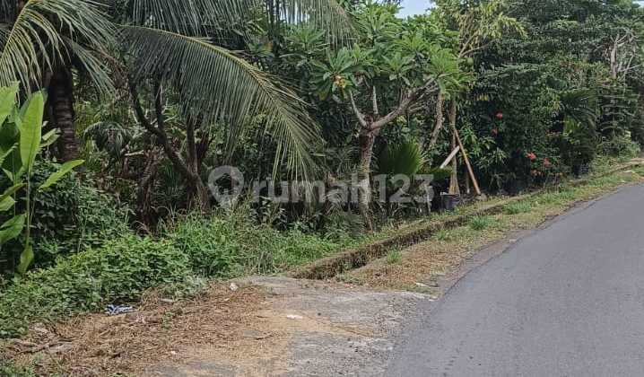 Disewakan Tanah Di Lodtunduh Ubud Shm Zona Kuning Disewakan Tanah Di Lodtunduh Ubud Shm Zona Kuning