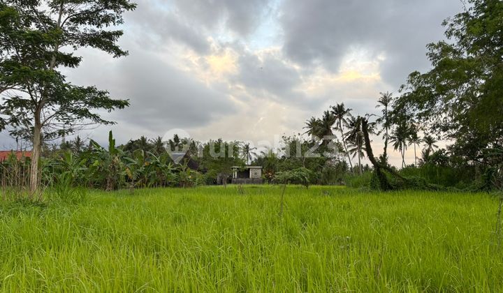 Affordable Land in Lodtunduh Ubud for Private Villas and Investment