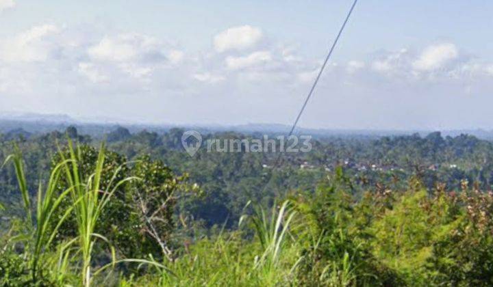 Tanah Murah Di Payangan View Cantik Siap Bangun Villa 2