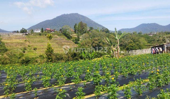 TANAH VIEW DANAU UDARA SEJUK COCOK VILLA RENTAL  2