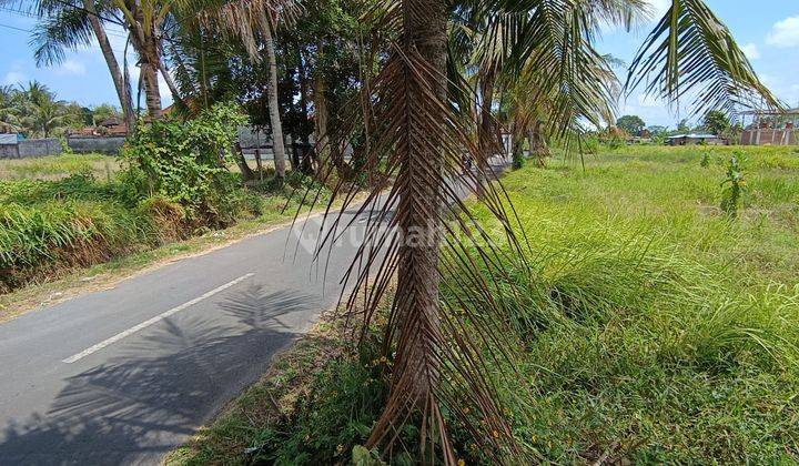 TANAH SEWA VIEW SAWAH PINGGIR JALAN COCOK VILLA DAN RESTORAN 2