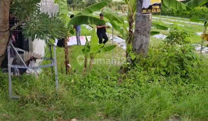 TANAH MURAH DEKAT PANTAI SESEH VIEW SAWAH COCOK VILLA RENTAL  1