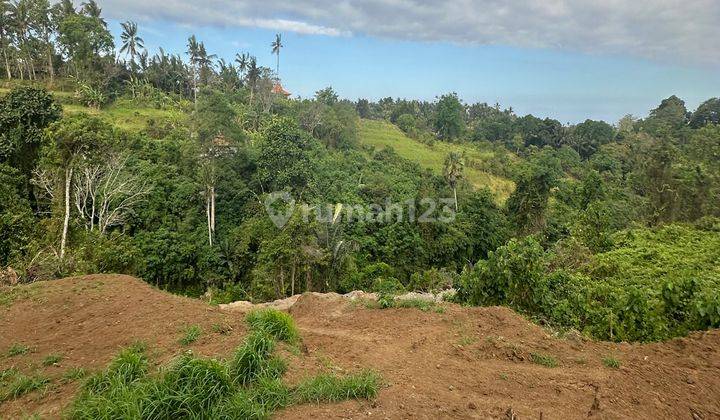 Tanah Los Sungai Super Cantik View Air Terjun Dan Hutan 2