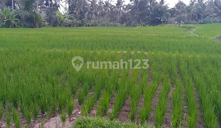 Tanah Murah View Cantik Jalan Mobil Cocok Rumah Pribadi