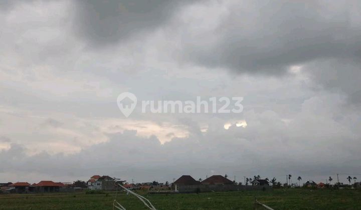 Ocean View Mountain Rice Field Lease Land Near Mengening Beach Ocean View Mountain Rice Field Lease Land Near Mengening Beach