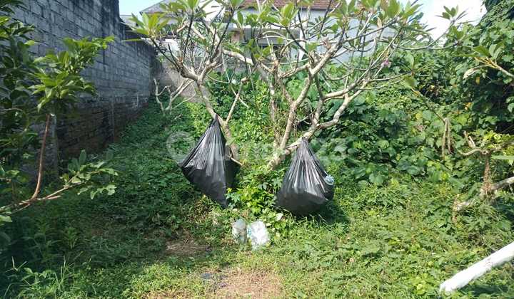 Tanah View Hutan Cocok Villa Dan Rental Tanah View Hutan Cocok Villa Dan Rental