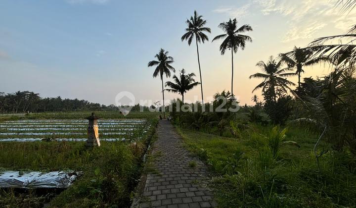 Super Murah Cocok Vila Rental atau Kavling