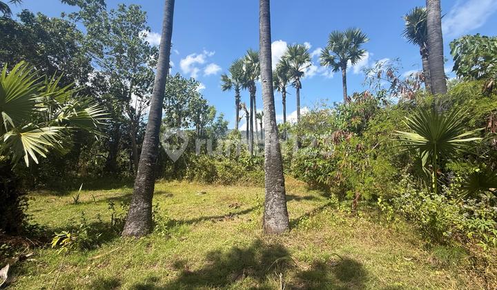 Tanah Murah Dekat Centre Amed View Gunung Laut Tanah Murah Dekat Centre Amed View Gunung Laut