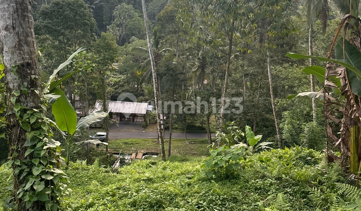 Land in the Jatiluwih Tourist Zone on the Main Road, Suitable for Business