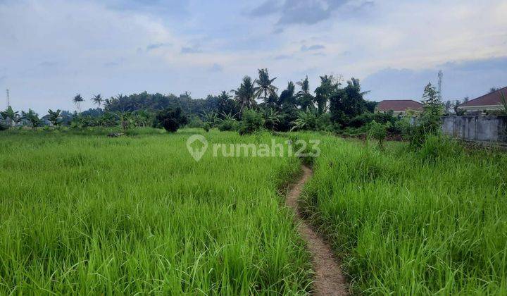 Di Jual Tanah Di Ubud Acces Mobil View Alam 2