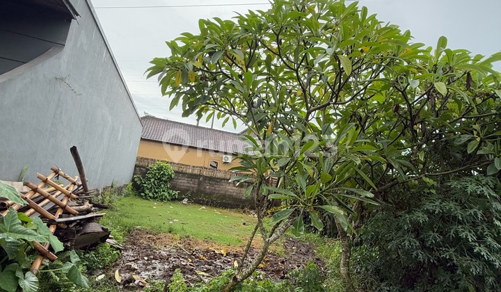 Land for Sale Location in Ketewel Gianyar Near Bypass Ib Mantra Land for Sale Location in Ketewel Gianyar Near Bypass Ib Mantra