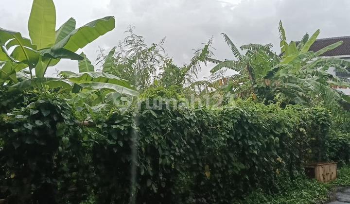 For Sale Land Location on Jl Sedap Malam Denpasar, Excellent and Strategic For Sale Land Location on Jl Sedap Malam Denpasar, Excellent and Strategic