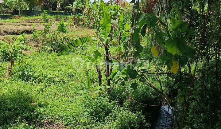 Tanah Murah Central Ubud View Sawah Siap Bangun