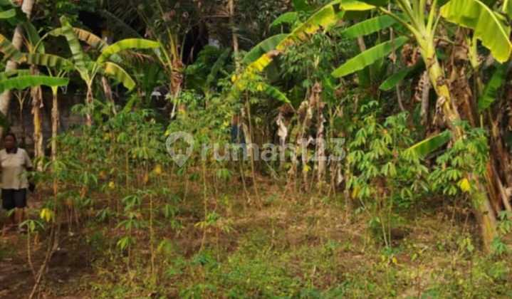 Cheap Land in Yellow Zone at Mas Ubud Cheap Land in Yellow Zone at Mas Ubud