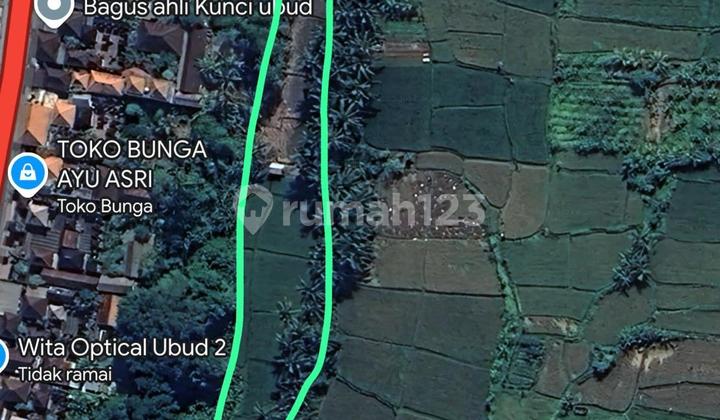 Land for Sale in Peliatan View Sawah Hutan