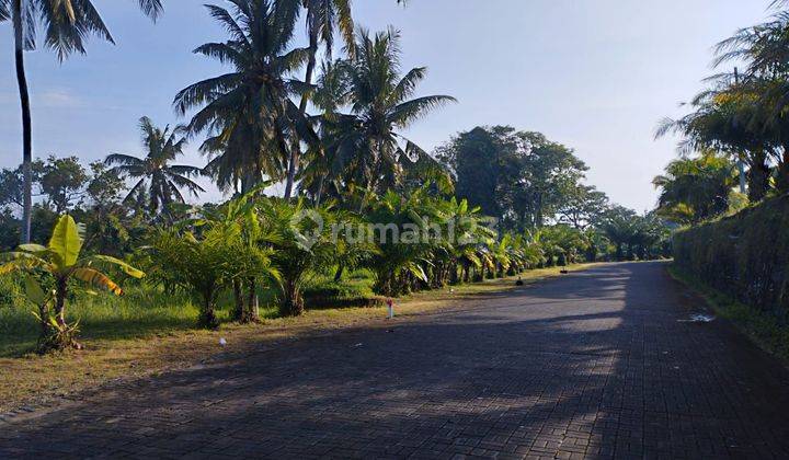 TANAH ZONA KUNING VIEW SUNGAI DAN SAWAH ABADI  2