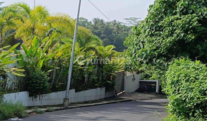 Tanah View Hutan Lembah Harga Murah Cocok Villa Rental  2