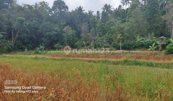Tanah Untuk Investasi Harga Murah View Bagusv 1