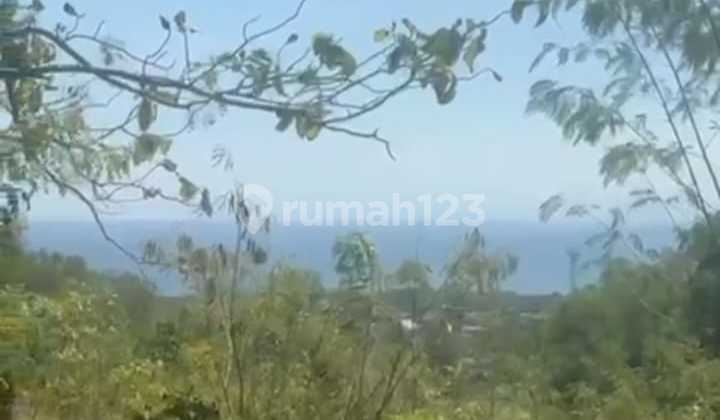 For Rent Land Near Padang Padang Loss Ocean For Rent Land Near Padang Padang Loss Ocean