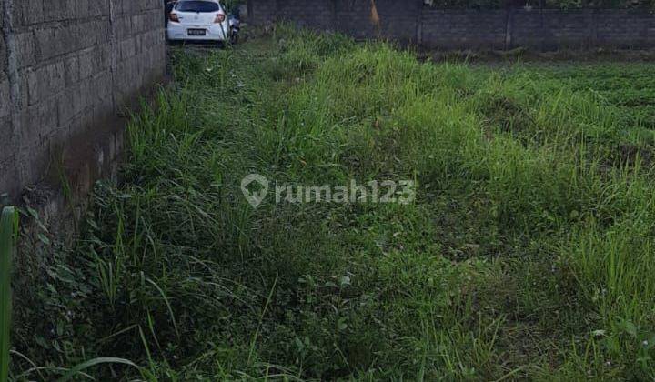 TANAH ZONA KUNING VIEW SAWAH LINGKUNGAN VILLA 2