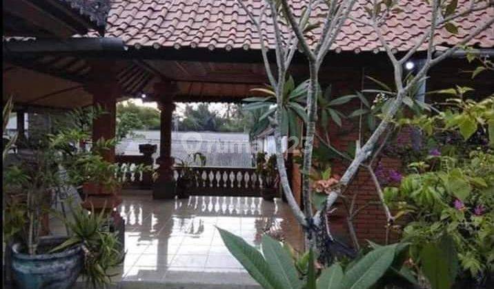 Rumah Murah Di Andong Ubud Cocok Bisnis Rental 2