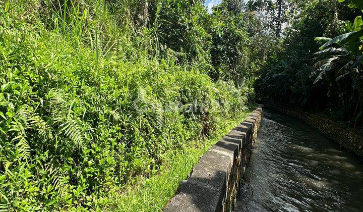 TANAH SEWA ZONA KUNING VIEW SUNGAI DAN HUTAN COCOK VILA 2