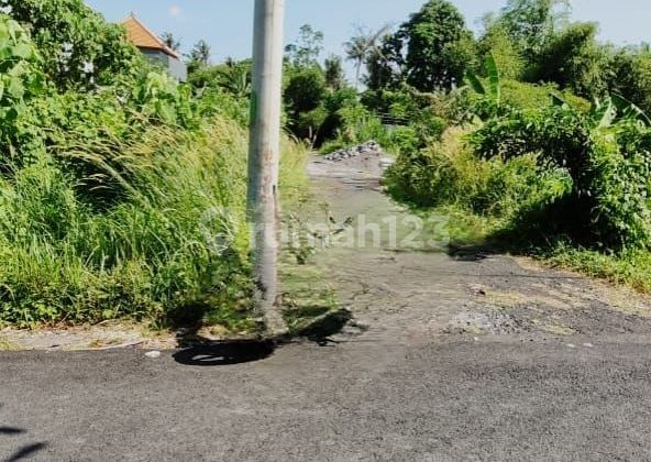 Tanah Dijual Lokasi Siulan Sangat Strategis dan Hook