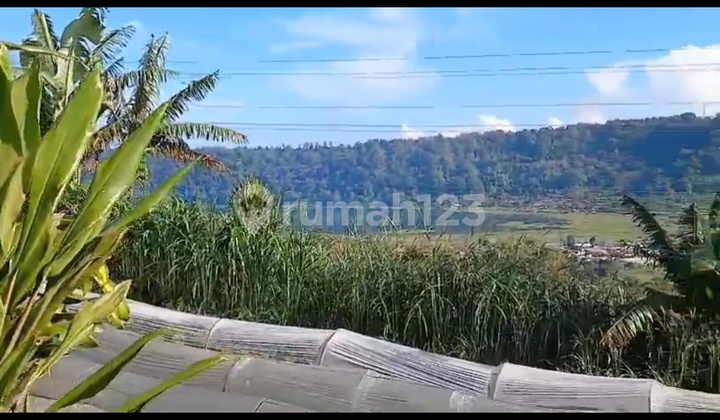Tanah View Danau Buyan Cantik Cocok Bisnis Villa 2