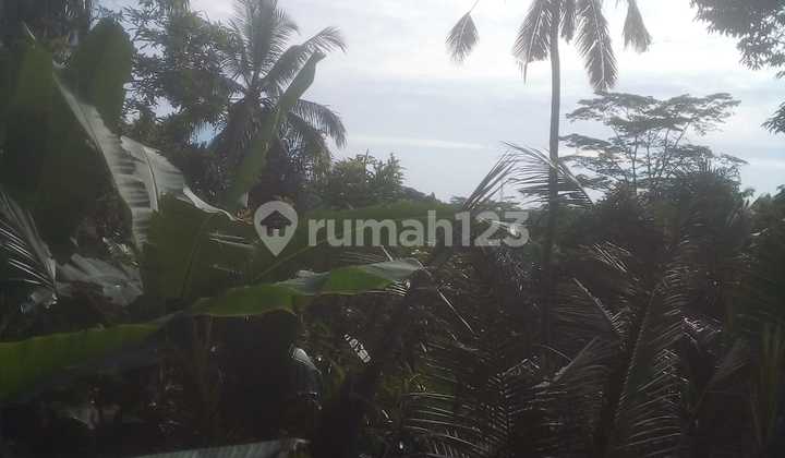 Land View Forest Valley Cool Suitable Private Villa Land View Forest Valley Cool Suitable Private Villa