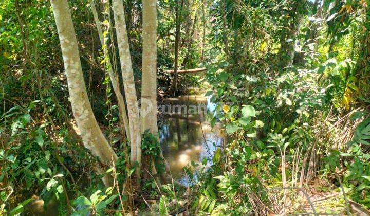 TANAH ZONA KUNING TERMURAH DI MAS UBUD VIEW KEREN 1