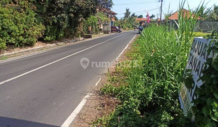 TANAH PINGGIR JALAN UTAMA COCOK BISNIS VIEW SAWAH 1