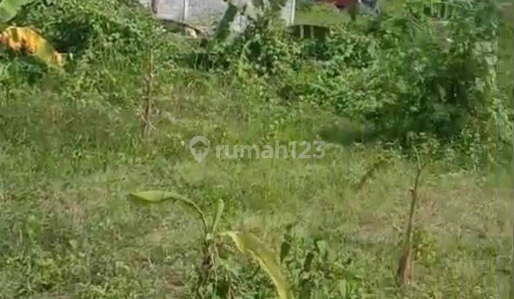 SMALL LAND IN MUNGGU SUITABLE FOR VILLA RENTAL 1