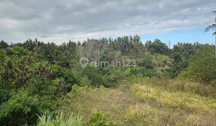 Tanah Pinggir Jalan Besar View Lembah Harga Murah 1