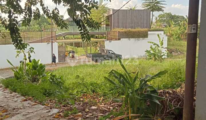 Tanah View Sawah Cantik Di Babakan Canggu