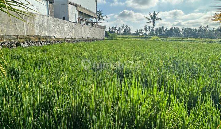 Tanah Zona Kuning View Sawah Cantik Lingkungan Villa Mewah 1