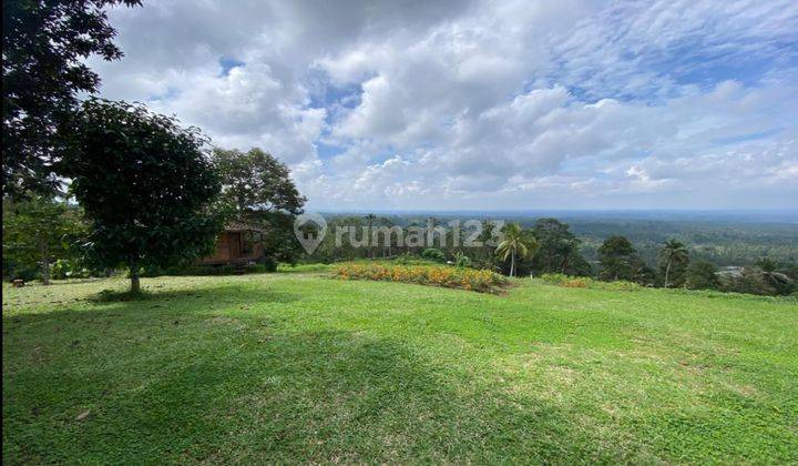 Tanah Murah View Laut Gunung Sawah Dan Hutan Keren 1