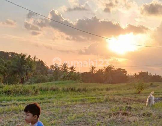 Tanah Di Soka Super Murah Cocok Investasi Panjang  1