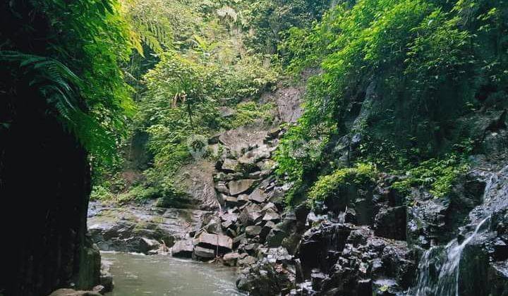 Tanah Sewa Di Kawasan Ubud 1