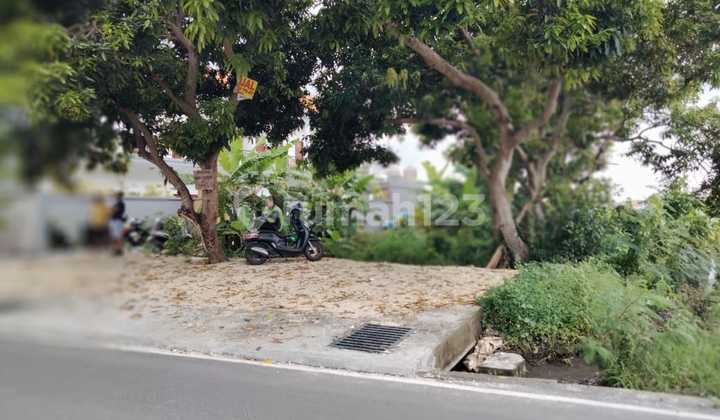 Tanah Premium Canggu Cocok Jadi Hotel Villa Resto Ruko Kantor Dll Tanah Premium Canggu Cocok Jadi Hotel Villa Resto Ruko Kantor Dll