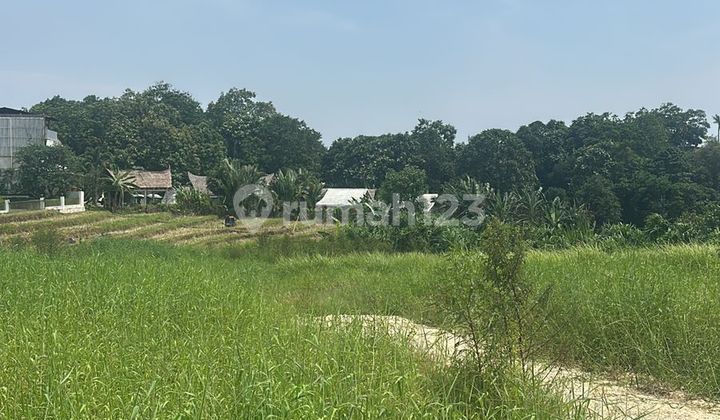 Tanah View Sawah Cantik Siap Bangun Harga Nego Aja 