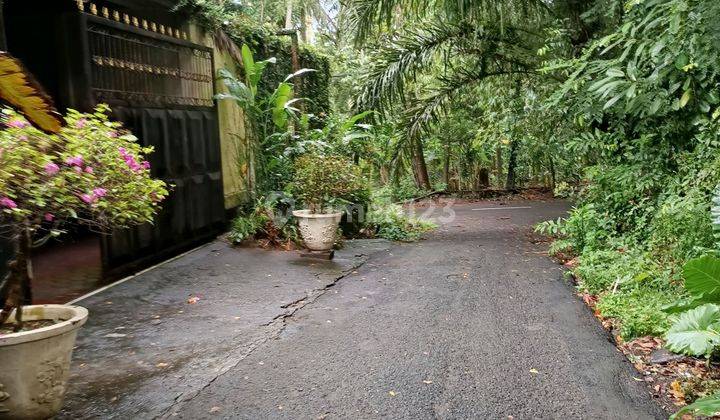 Tanah View Jungle Dekat Pantai Candidasa Cocok Villa  2