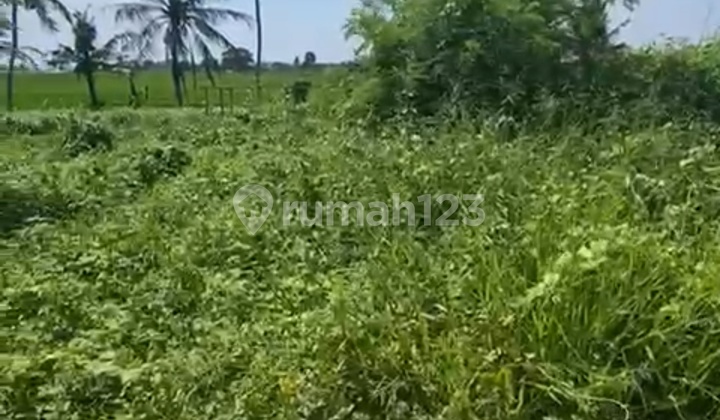 Tanah View Sawah Sungai Keren Sunset Cocok Villa Rentals Tanah View Sawah Sungai Keren Sunset Cocok Villa Rentals